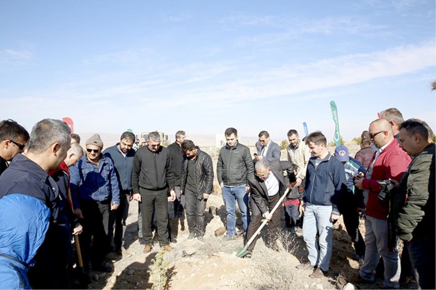 Ulaşım A.Ş.
