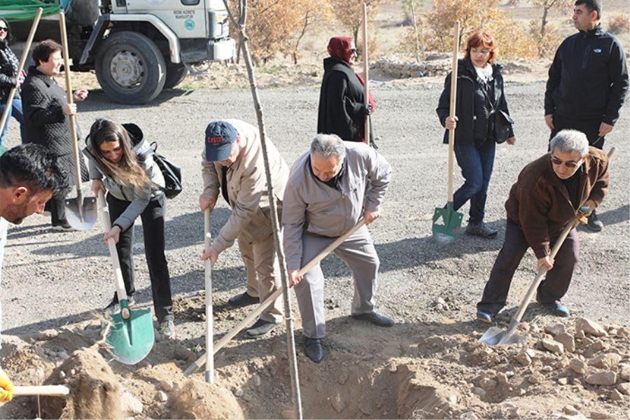 Vasiyet etti, Perşembesi yerine ağaç diktirdi 