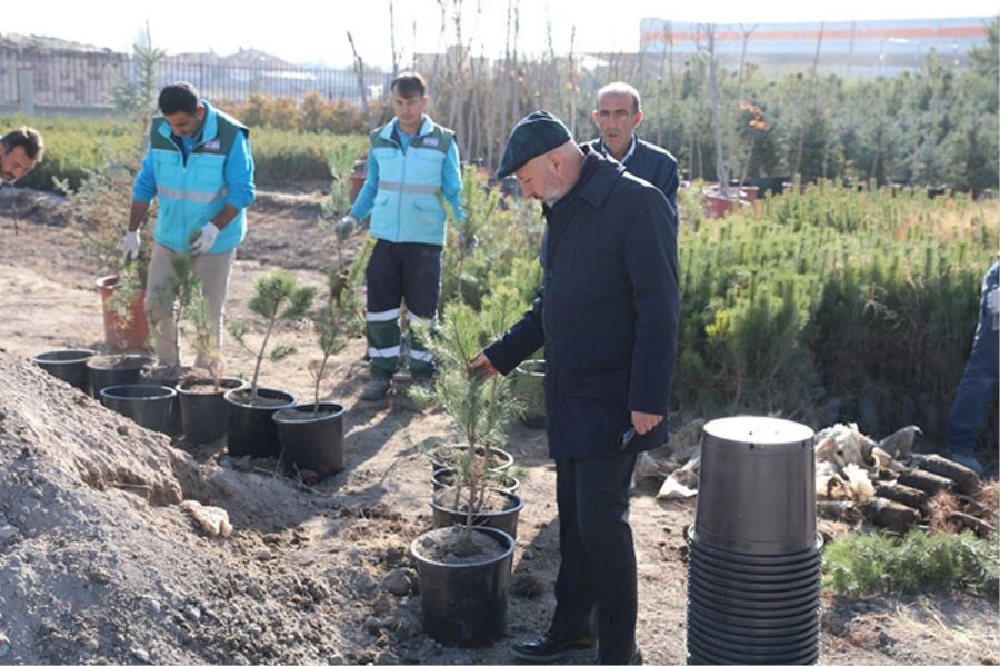 Başkan Çolakbayrakdar, “Daha Yeşil Bir Kocasinan İnşa Ediyoruz” 