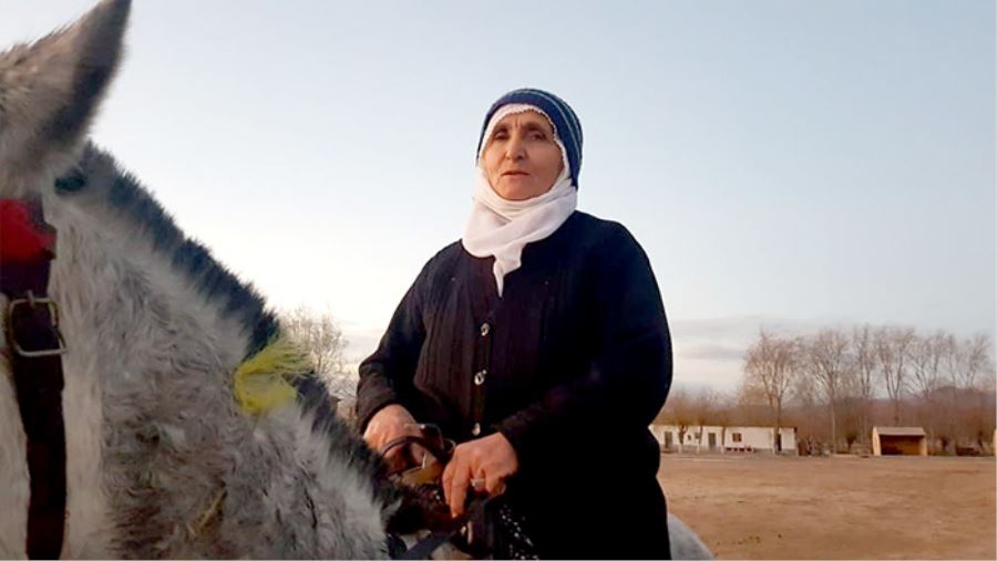 60 yaşında ata binen Fatma nine görenleri şaşırtıyor 