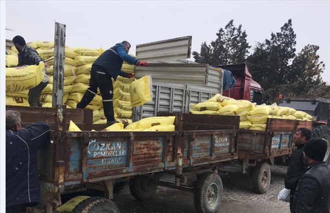 KAYSERİ ŞEKER, PANCAR ÇİFTÇİSİNE GÜBRE DAĞITIMINA BAŞLADI