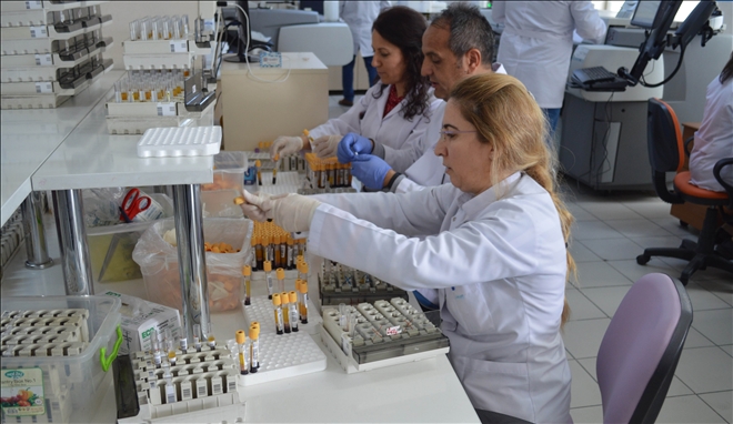 Laboratuvar Tahlil Sonuçları Türkiye´de İlk Kez Uygulanan Bir Çalışma İle Artık Cepte 