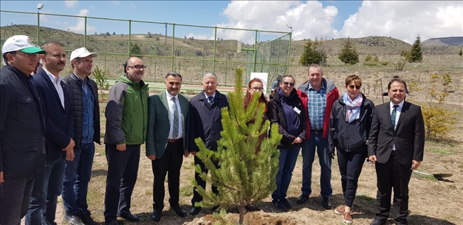 Develi´de Ağaç Dikme Etkinliği Düzenlendi 