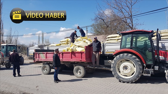 Çiftçiler, aracıları aradan çıkarttı, 250 bin TL paraları ceplerinde kaldı 