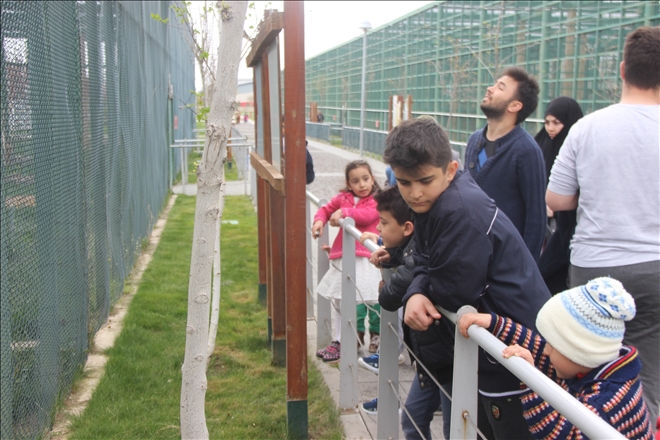 Hayvanat Bahçesine Ziyaretçi Akını 