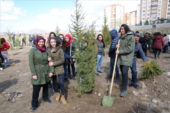 10 Bin çam fidanı toprakla buluşacak 