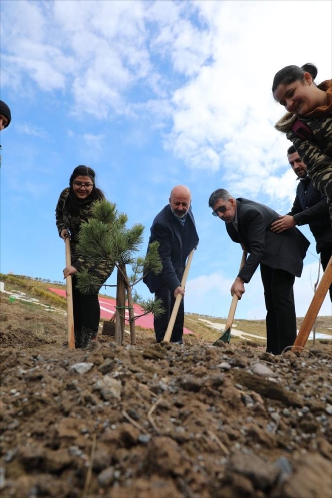 Çolakbayrakdar, ?Hedefimiz; 5 Yılda 500 Bin Ağaç Dikmek