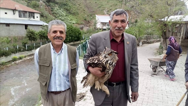 Yaralı Puhu Kuşu Yetkililere Teslim Edildi 
