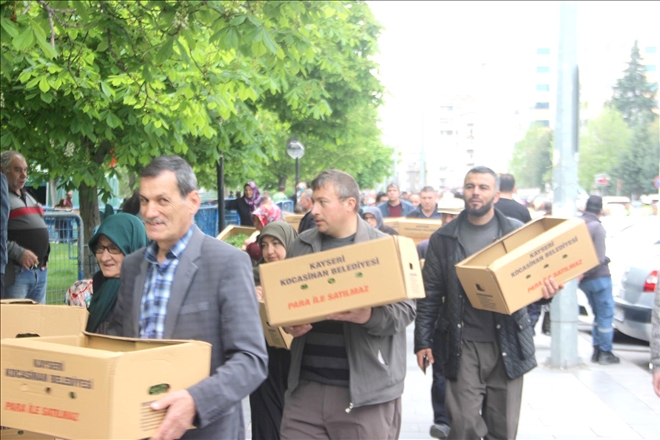 BEDAVA FİDEYE HÜCUM