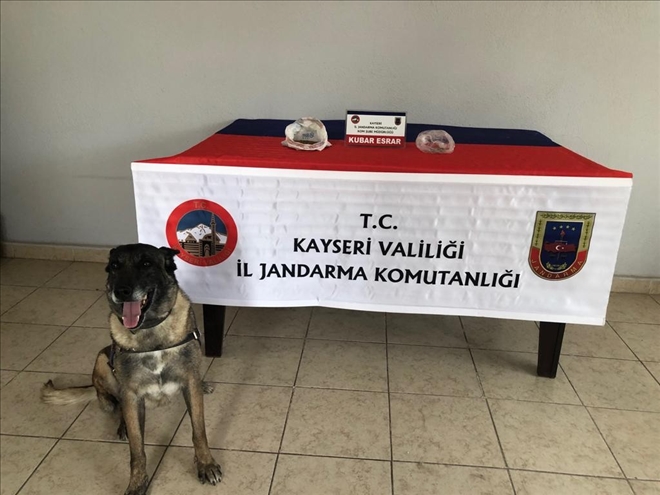 Kubar esrar ve kenevir tohumu ele geçirildi 