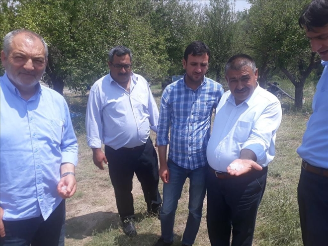 15 Bin dönüm arazi kullanılamaz halde 