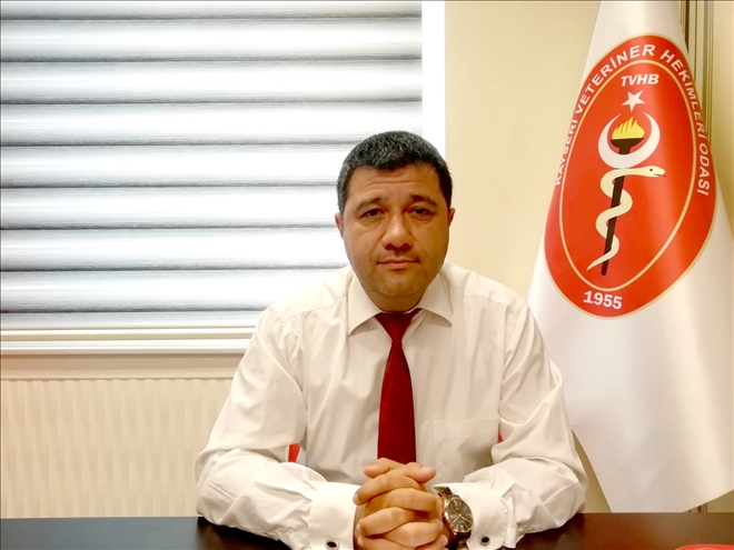 Evlerde ve sokaklarda görülen yılanlar günlerdir vatandaşları huzursuz ediyor 
