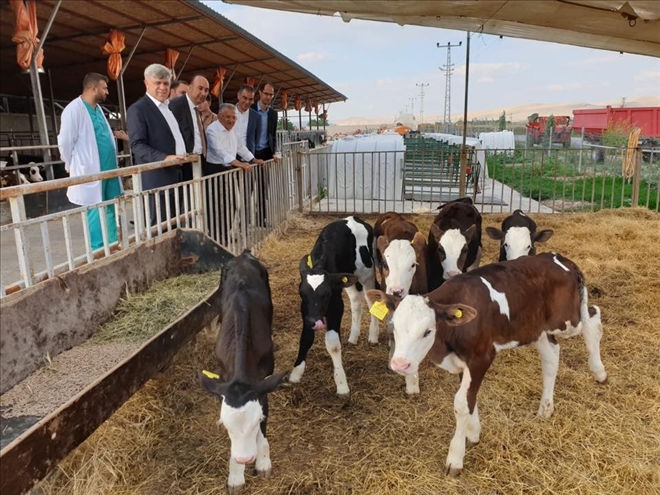 Kayseri´deki üretim üssü için başkentte inceleme 