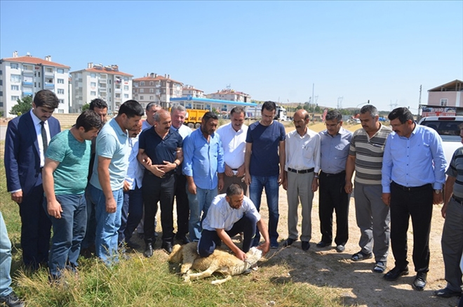 Bünyan´da Kurban Kesim Kursu Açıldı 