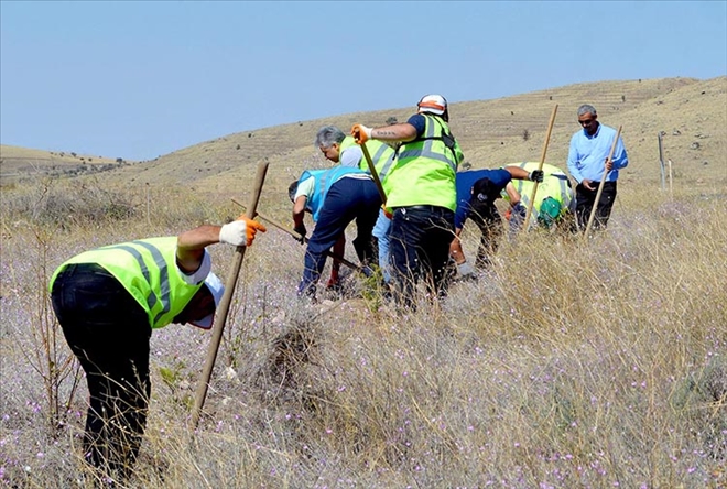 Kayseri Sağlık Müdürlüğü Hatıra Ormanına Sahip Çıkıyor