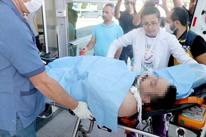 Kurban kesen vatandaşı arı soktu 