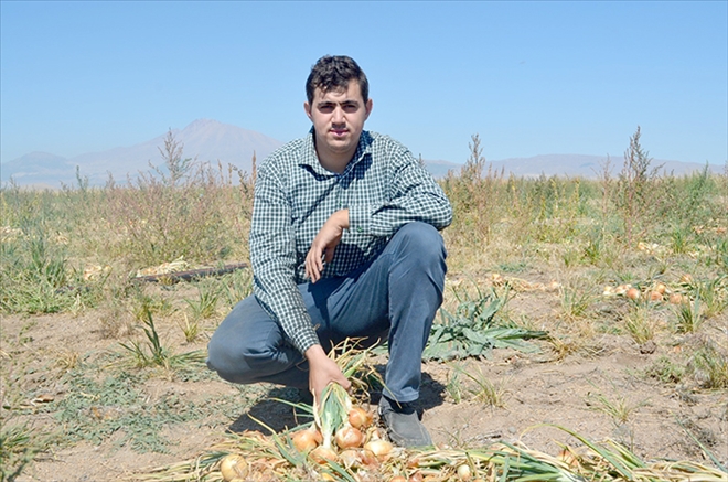 Kayseri´de ilk defa soğan eken çiftçi Yılmaz: 