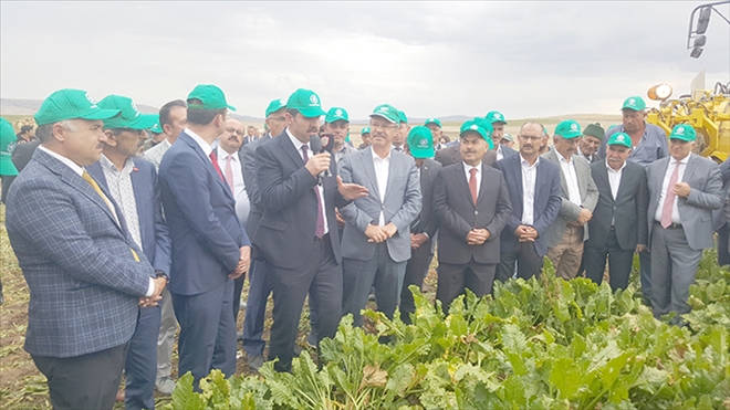 Kayseri Şeker´in Şarkışla´daki Pancar Hasat Günü´ne Sivas Valisi De Katıldı 