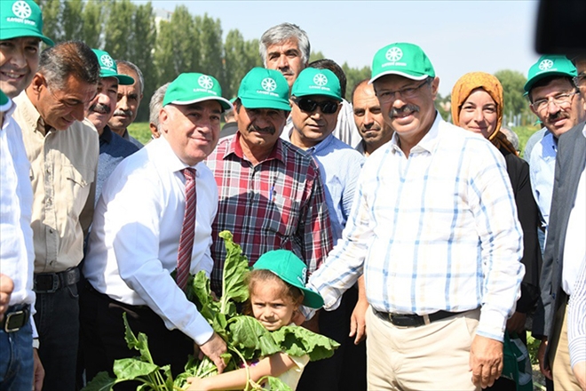 Kayseri Şeker´de 3. Tarla Günleri başladı 