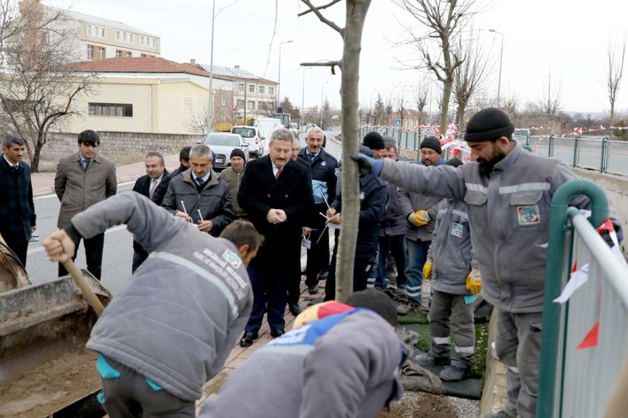 Başkanı Dr. Mustafa Palancıoğlu“fidan değil, ağaç dikiyoruz” 