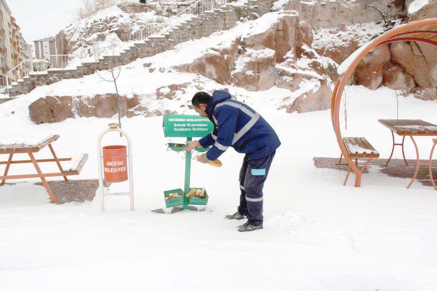 Hayvan dostu İncesu