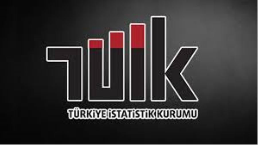 tuik çalışmaları