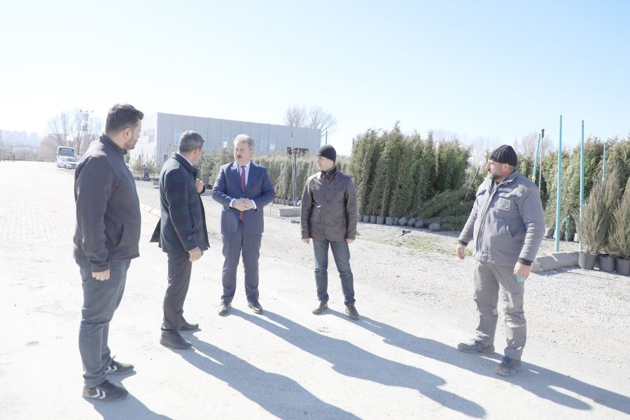 Melikgazi için tırlarla ağaçlar geliyor 