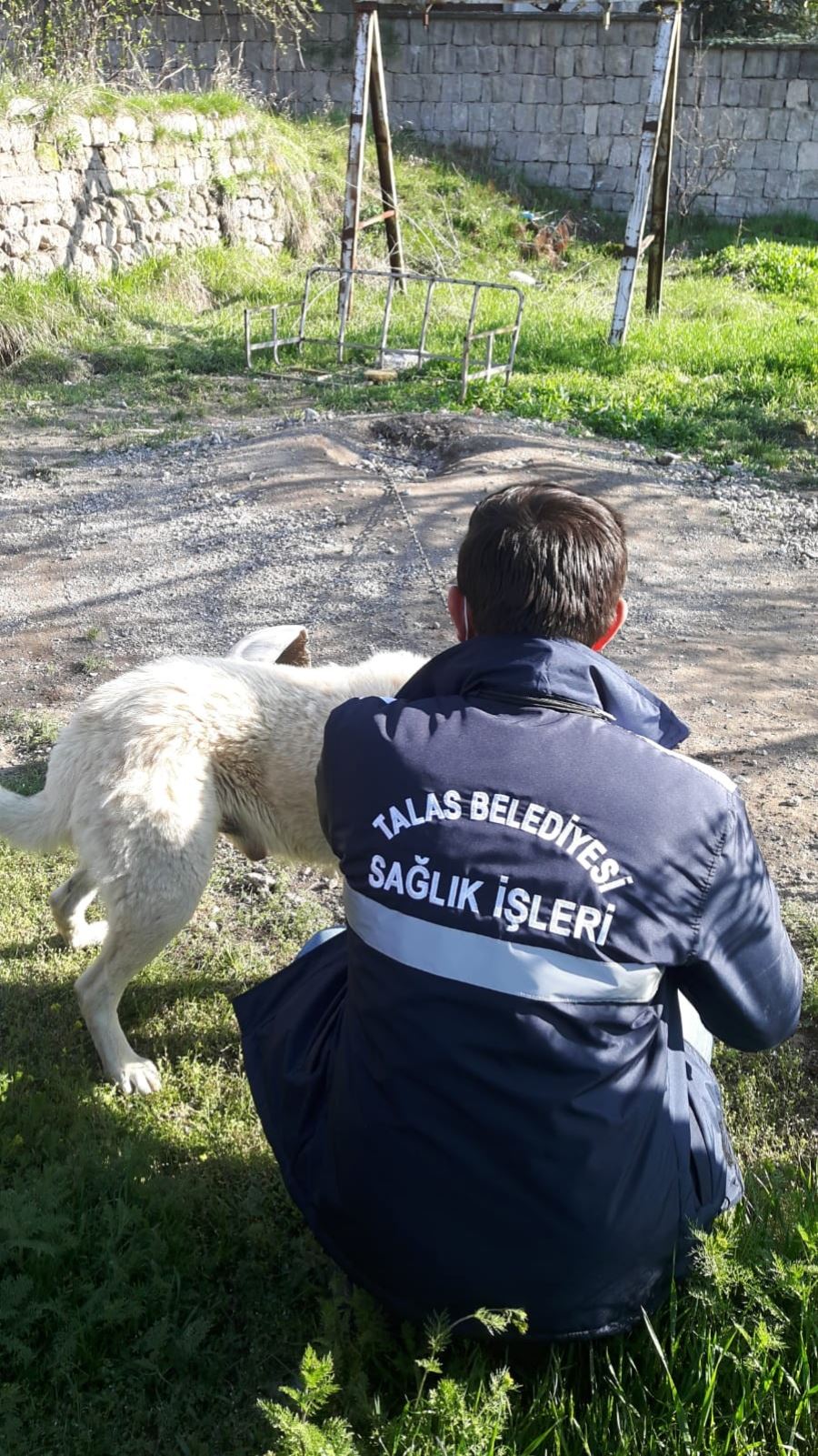 Aç kalan tavuk ve köpeklerini Talas Belediyesi desteğiyle besledi