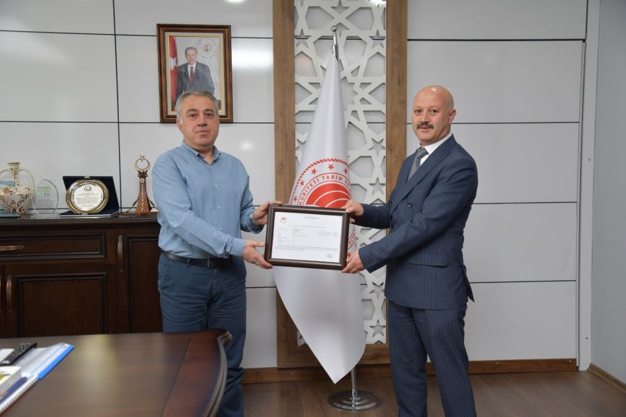 Artık Kayseri
