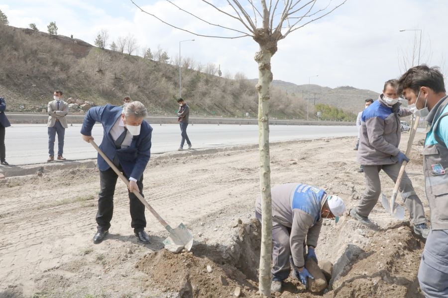 MELİKGAZİ daha yeşil olacak