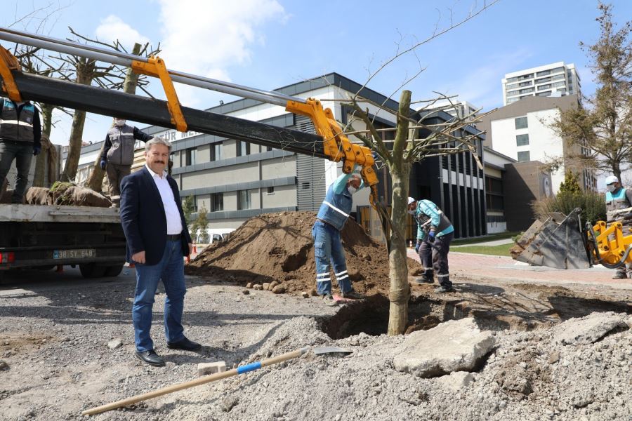 Tır tır geldi, tek tek dikildi