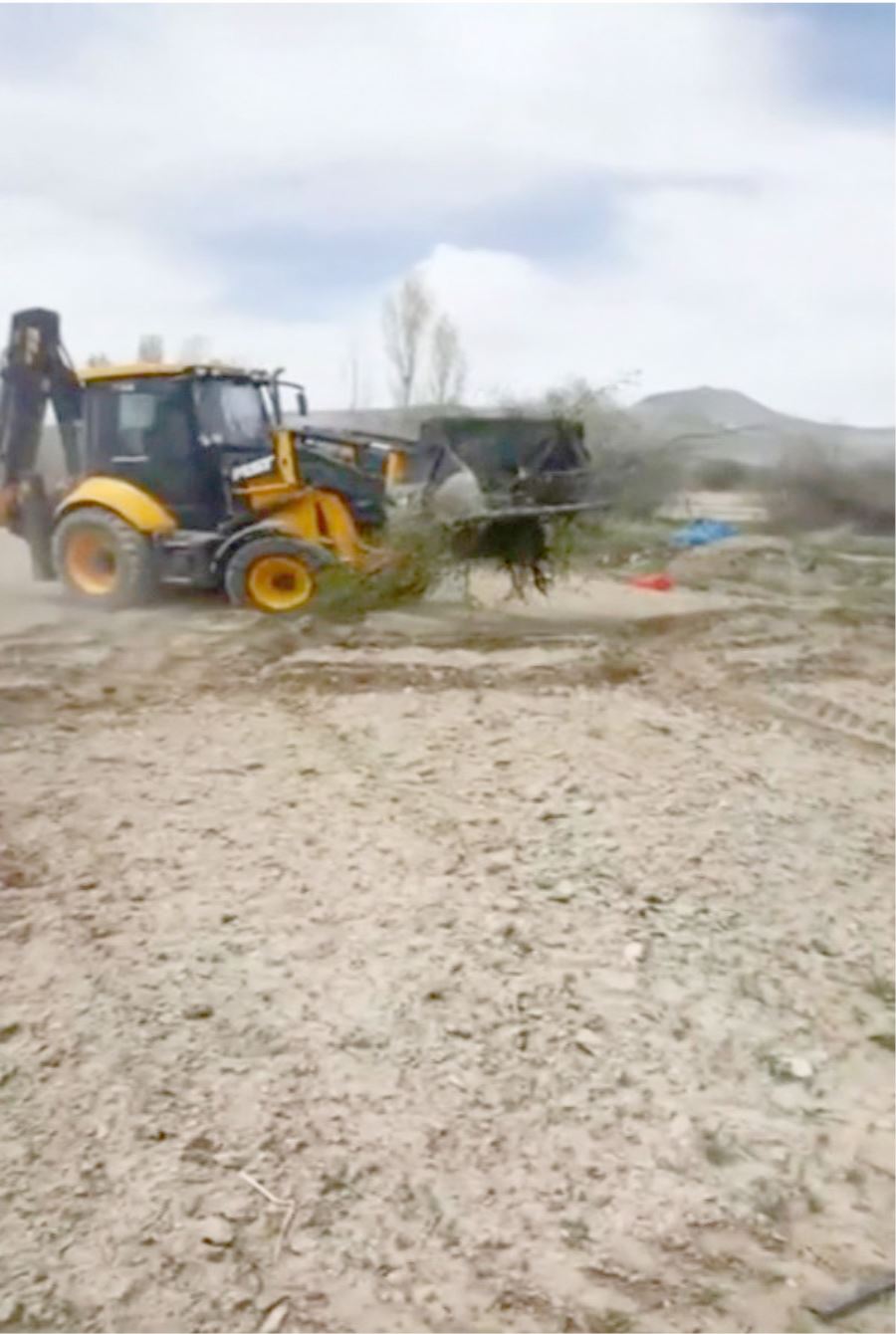  Kayserili çiftçi 200 kayısı ağacını don vurunca söktürdü