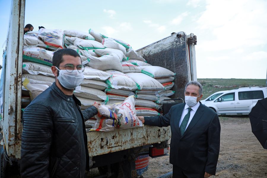 Talas’tan çiftçiye tohum desteği