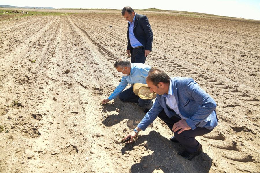 Zirai don TARSİM