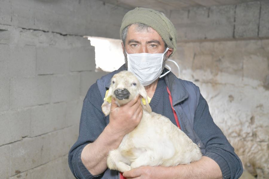 20 yıl sonra köyüne geri dönerek besiciliğe el attı