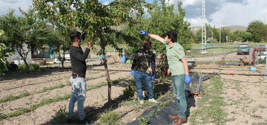 Tarım ve Orman Müdürlüğü ekipleri  hizmette
