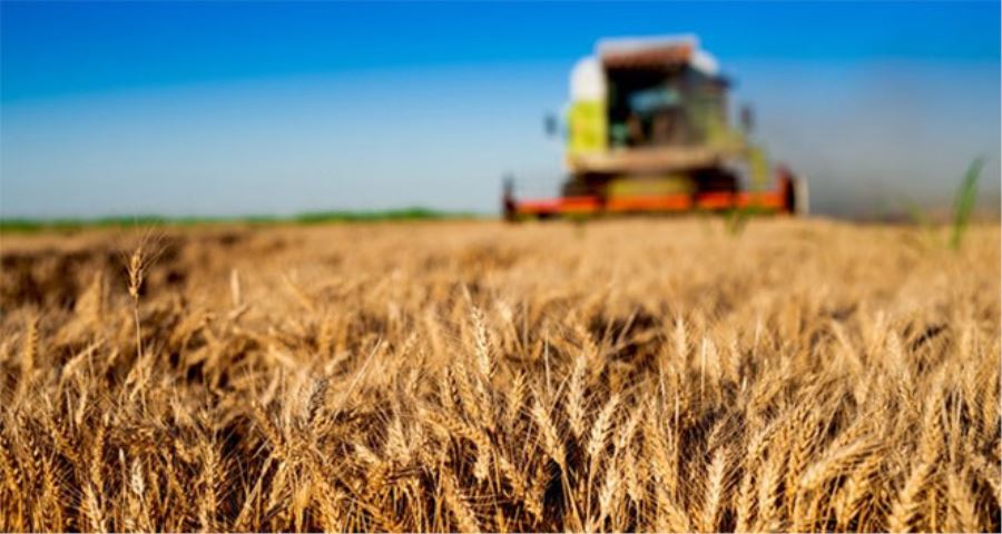 8 bin çiftçiye alım garantili destek