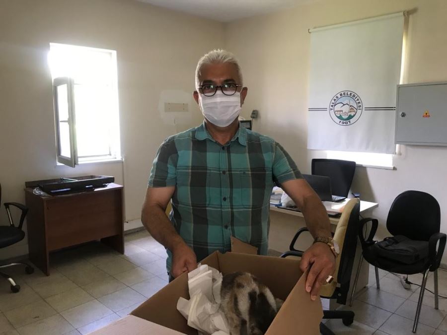 Şantiyede doğum yapan kedi ve yavrularına işçiler sahip çıktı