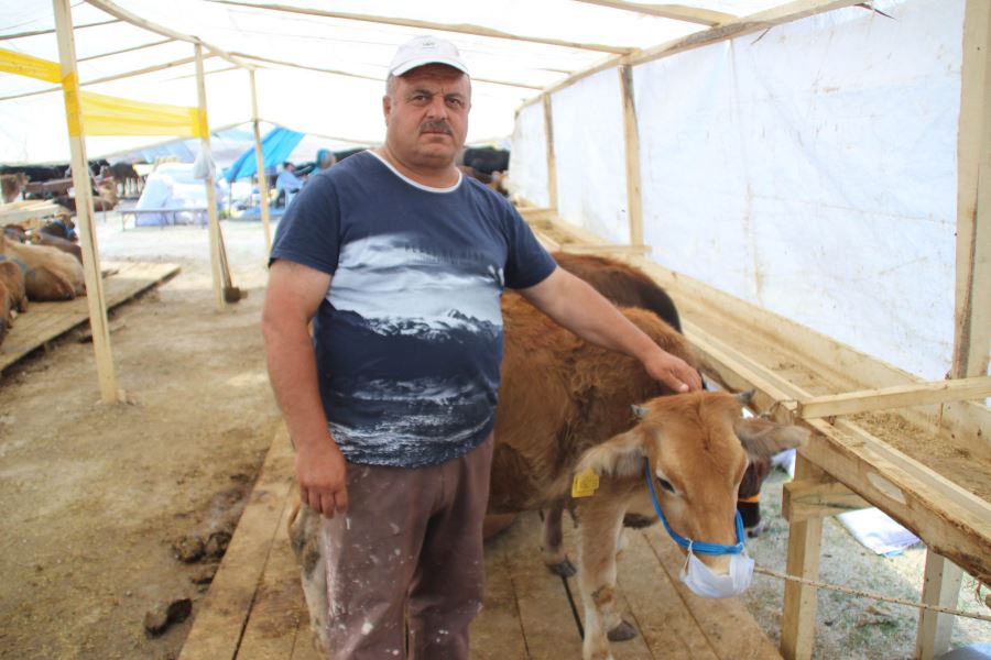 Maskeli dana hem güldürdü hem mesaj verdi
