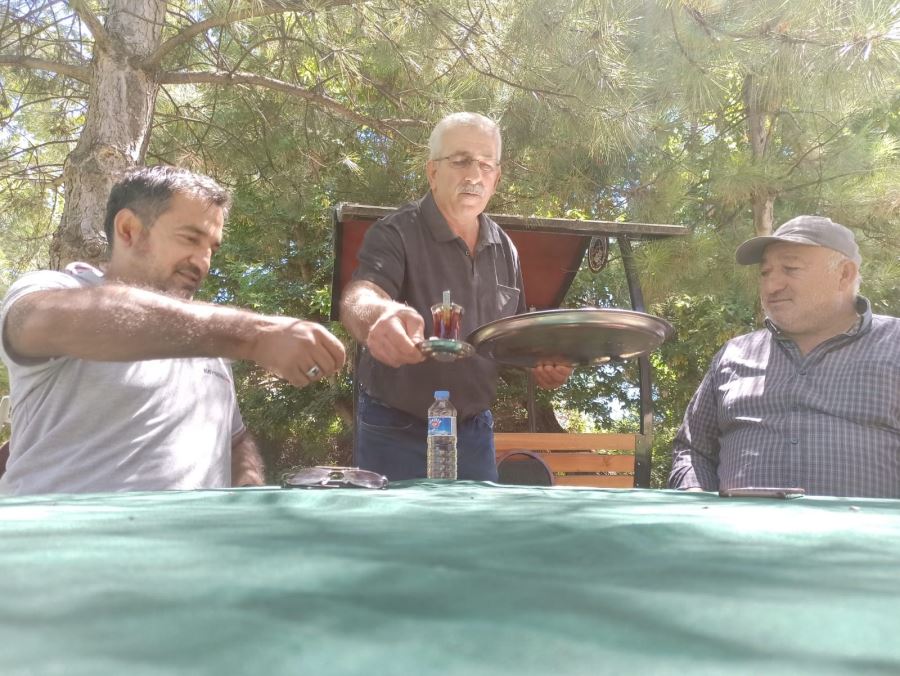 Çayla demlenen bir ömür