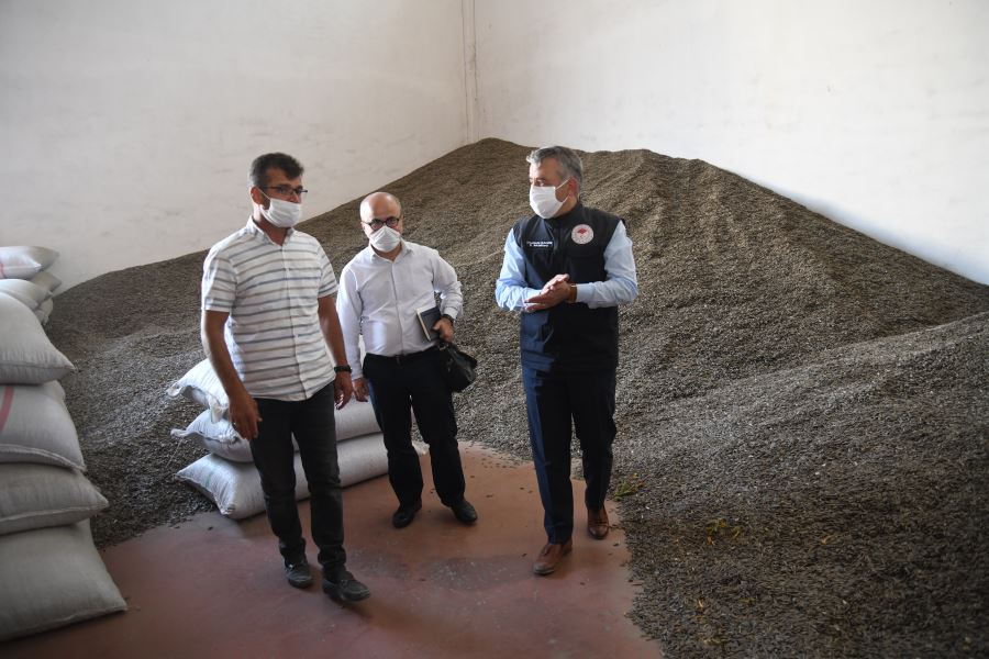  “Kayseri çerezlik ay çekirdeği üretiminde yüzde 16 ile Türkiye’nin ilk sırasında”