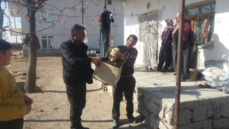 Yaralı kızıl şahin tedavi altına alındı
