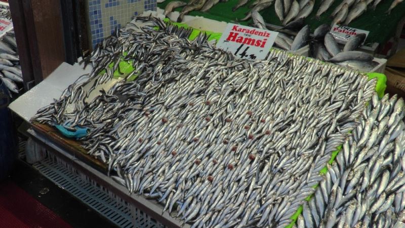 Hamsinin kilosu Anadolu’da 15 TL’ye düştü
