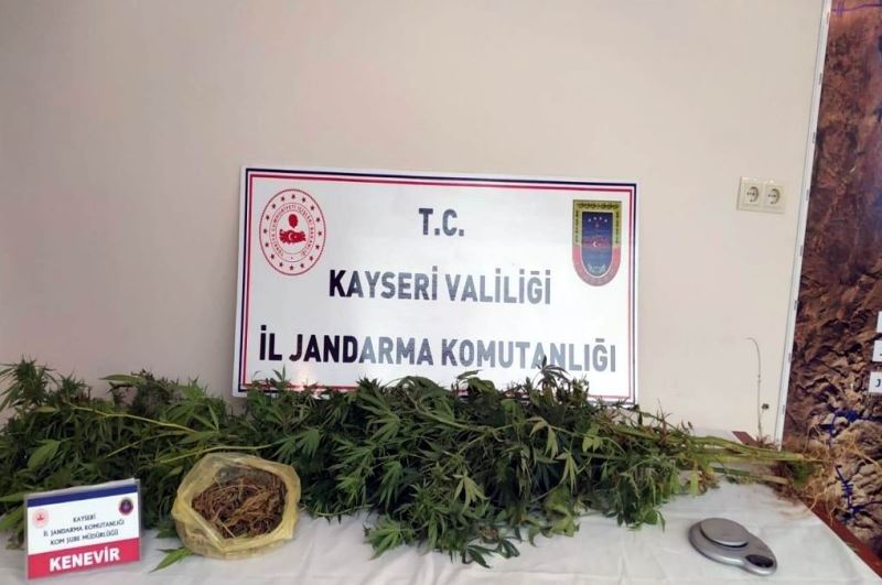 Jandarmadan uyuşturucu operasyonu
