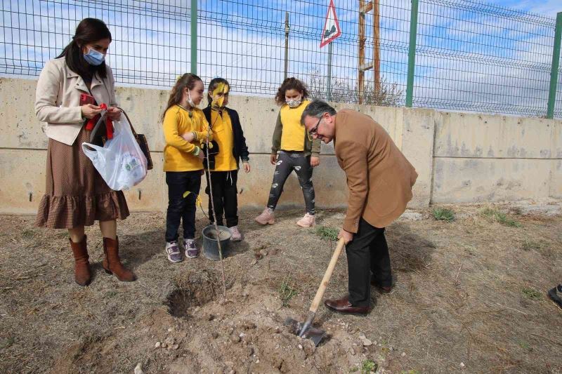 Hacılar’da hedef 1 milyon fidan
