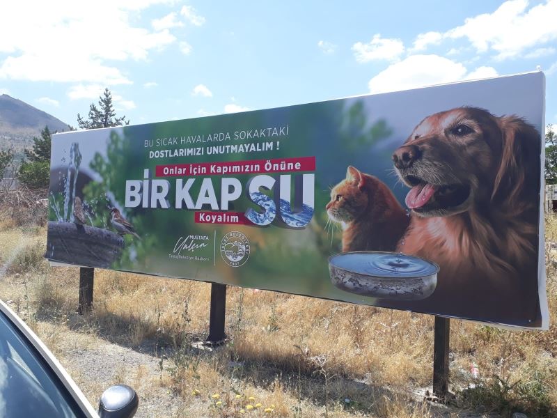 Bilboardlardan sokak hayvanları için su çağrısı
