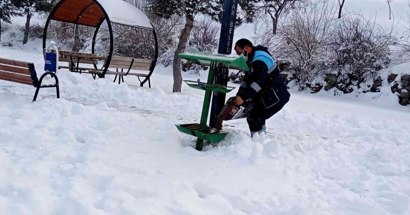Hacılar’da sokak hayvanları unutulmuyor
