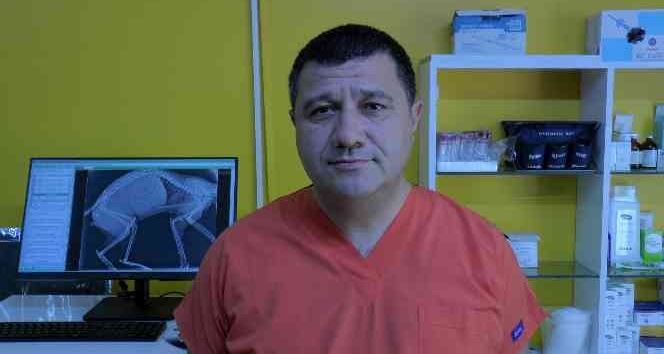 Yaz sineklerine karşı erken tedbir