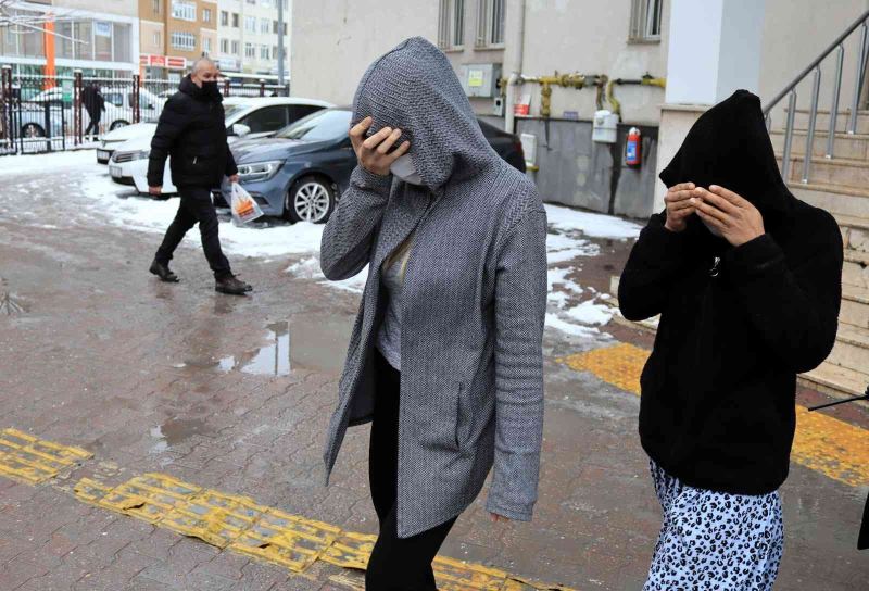 Ev ve iş yeri fareleri yakalandı
