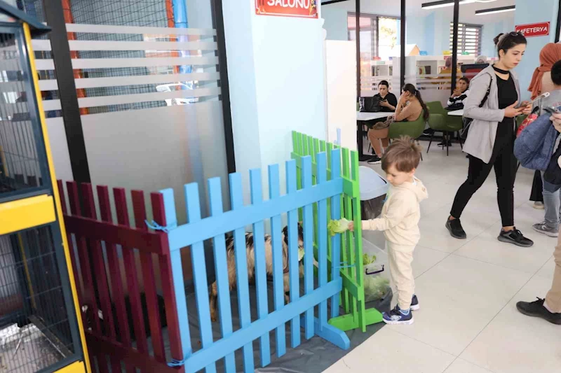 Çocuk Kütüphanesinde Hayvanları Koruma Farkındalığı Etkinliği
